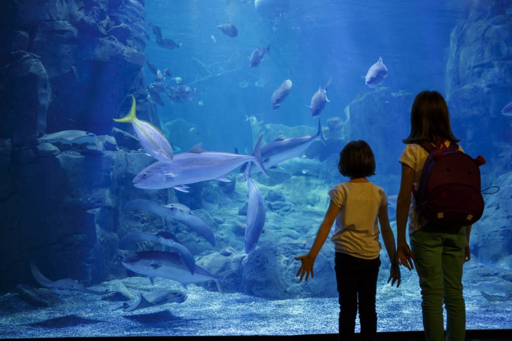 Dallas Aquarium