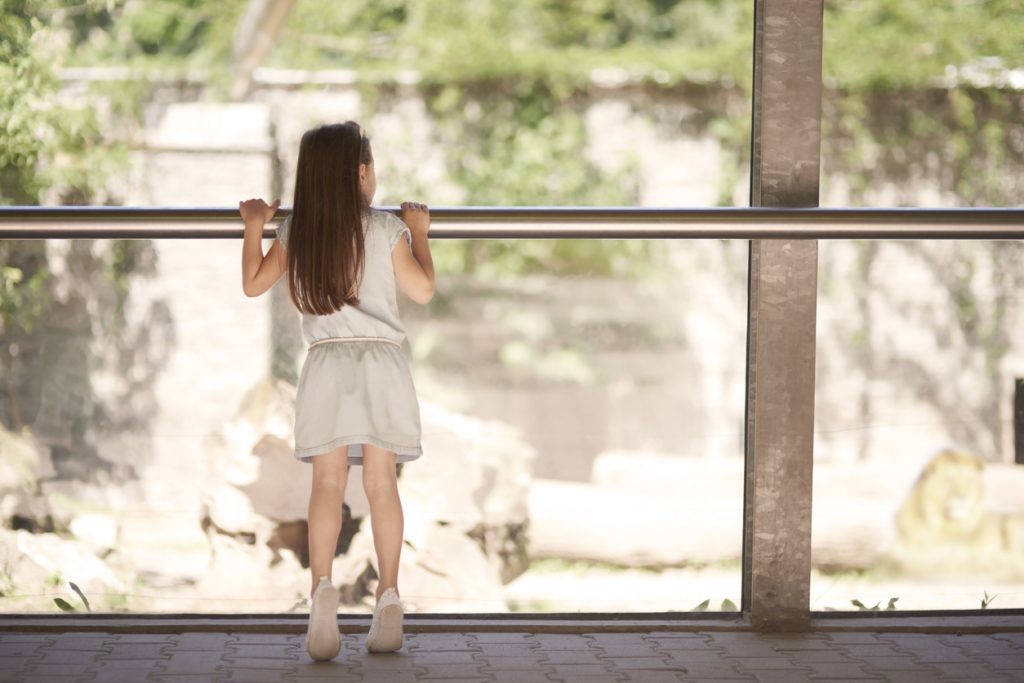 Zoo