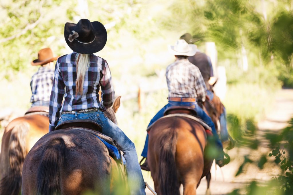 Horseback riding