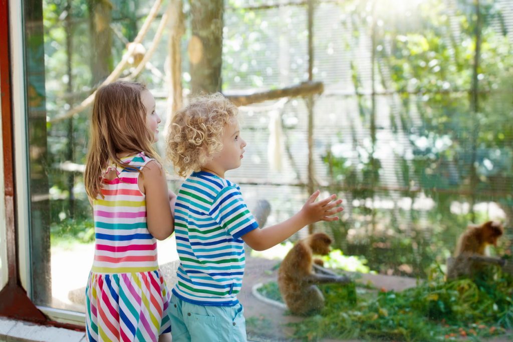 Greater Wynnewood Animal Park