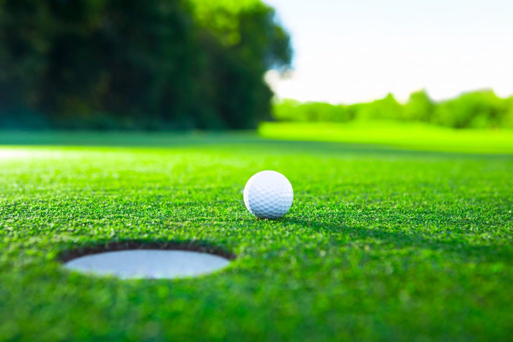 Ardmore Open