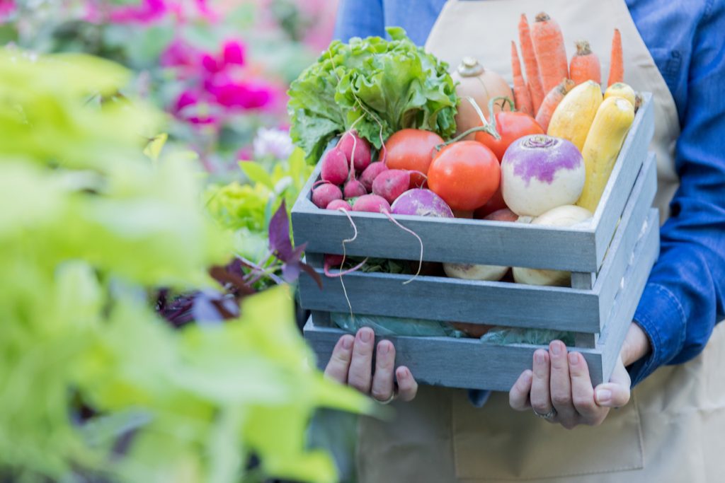 Ardmore Market