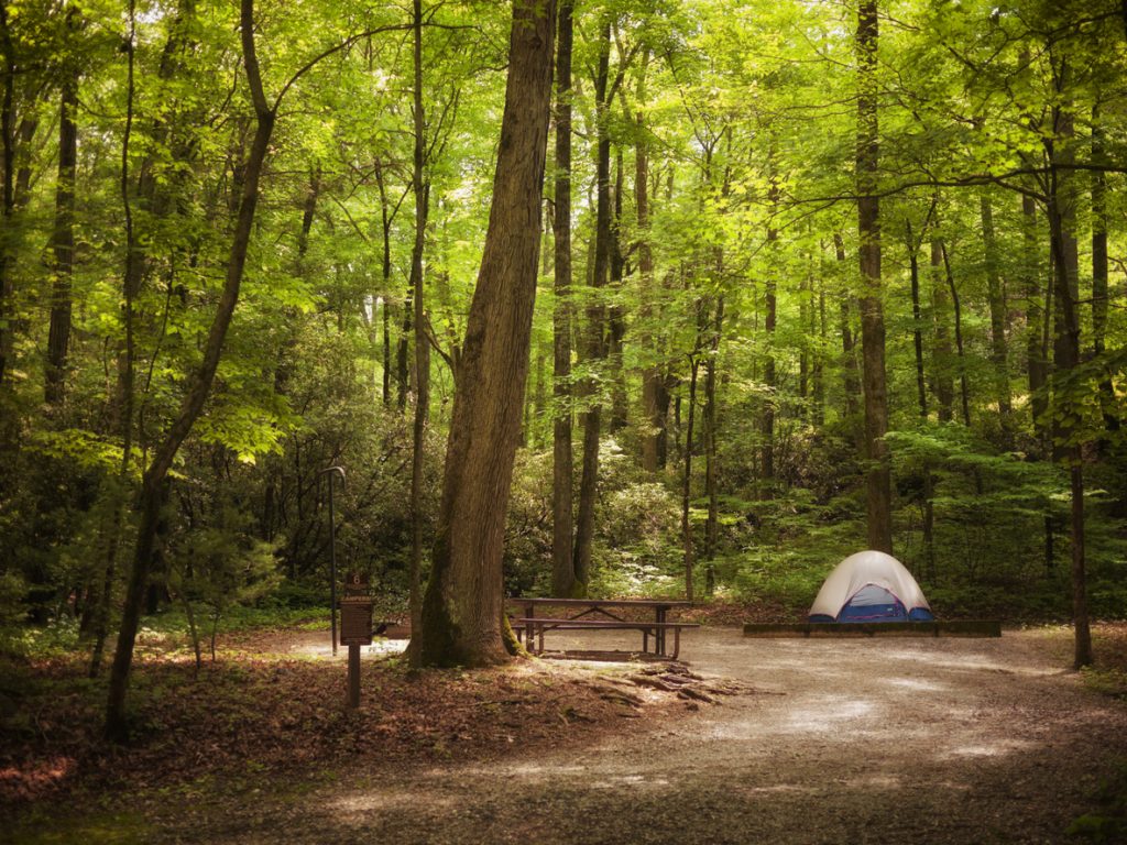 Tucker Tower Nature Center